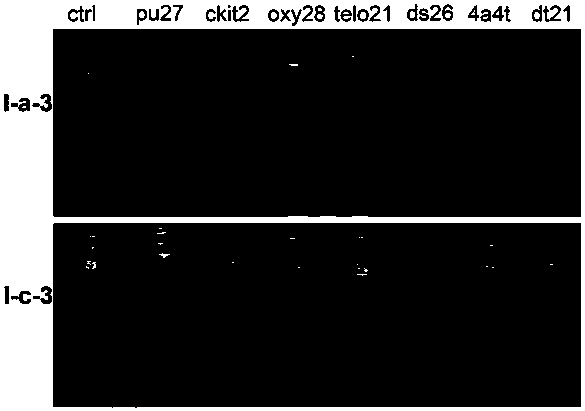 Nucleic acid dye compound and preparation method and application of nucleic acid dye compound