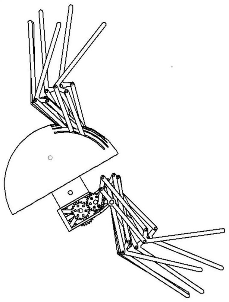 Novel bionic amphibious robot propelled by undulating fins