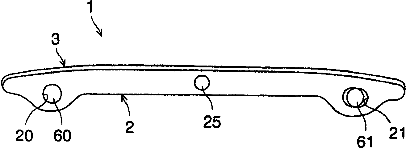 Chain guide