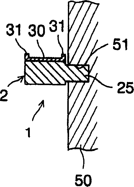 Chain guide