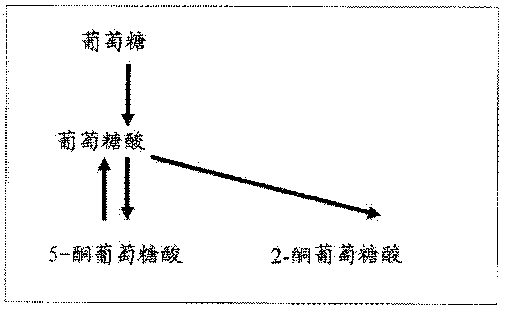 Process for production of organic acids