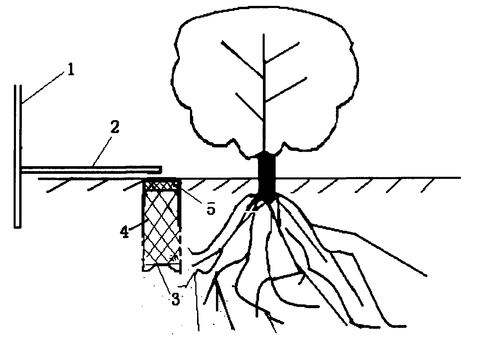 Fertilizing method in condition of drip irrigation for Chinese jujube in mountanious region and sloping field