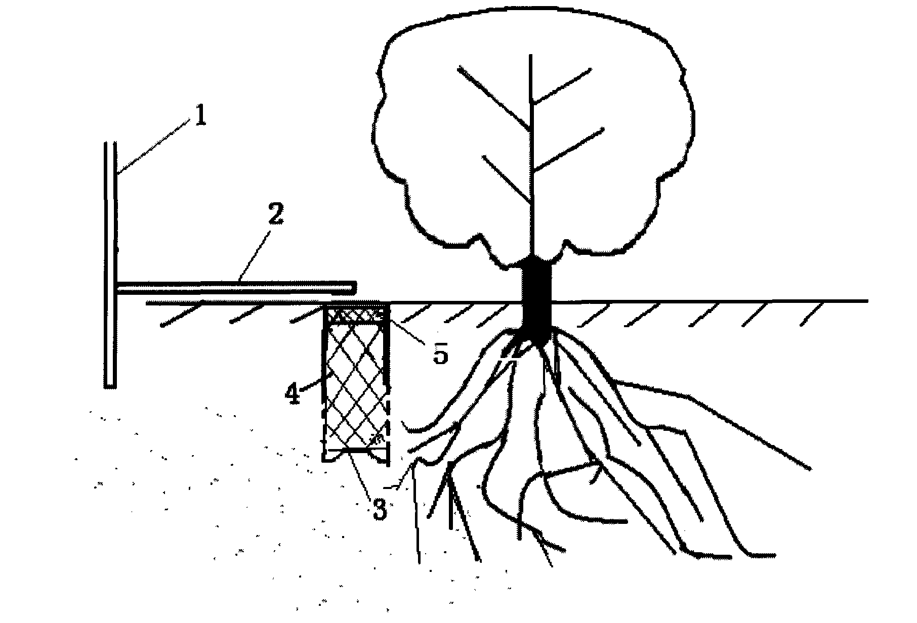 Fertilizing method in condition of drip irrigation for Chinese jujube in mountanious region and sloping field