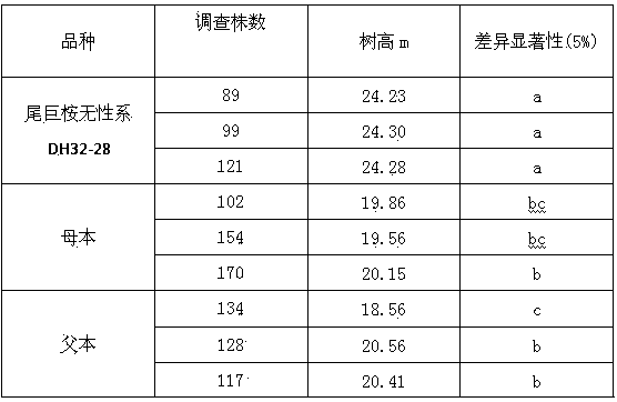 Breeding method for clonal DH32-28 variety of Eucalyptus urophylla*E.grandis