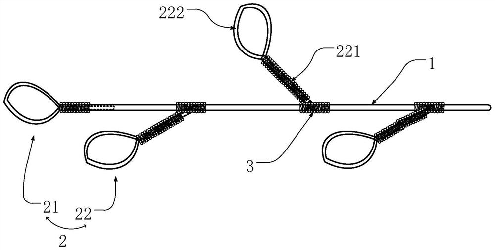 Braided rope provided with multiple hole rings