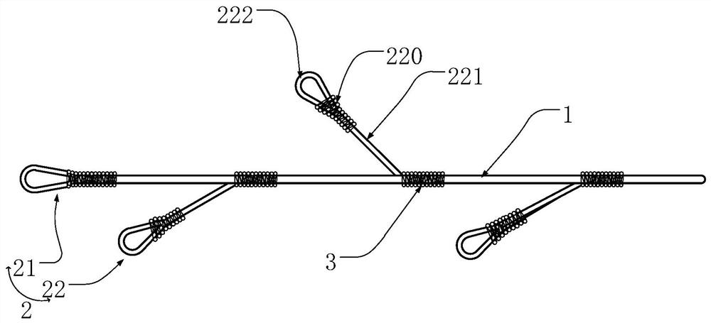 Braided rope provided with multiple hole rings