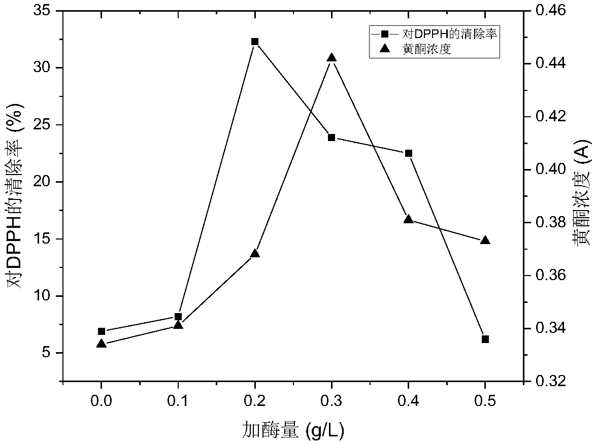 Portulaca oleracea flavone enzyme extraction technology adopting optimized response surface method