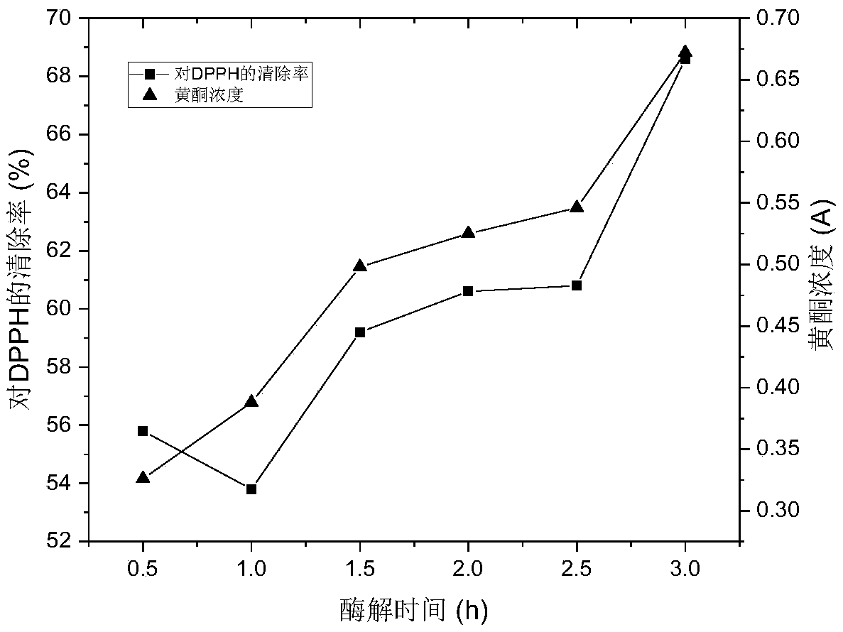 Portulaca oleracea flavone enzyme extraction technology adopting optimized response surface method