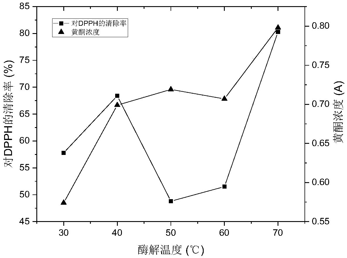 Portulaca oleracea flavone enzyme extraction technology adopting optimized response surface method