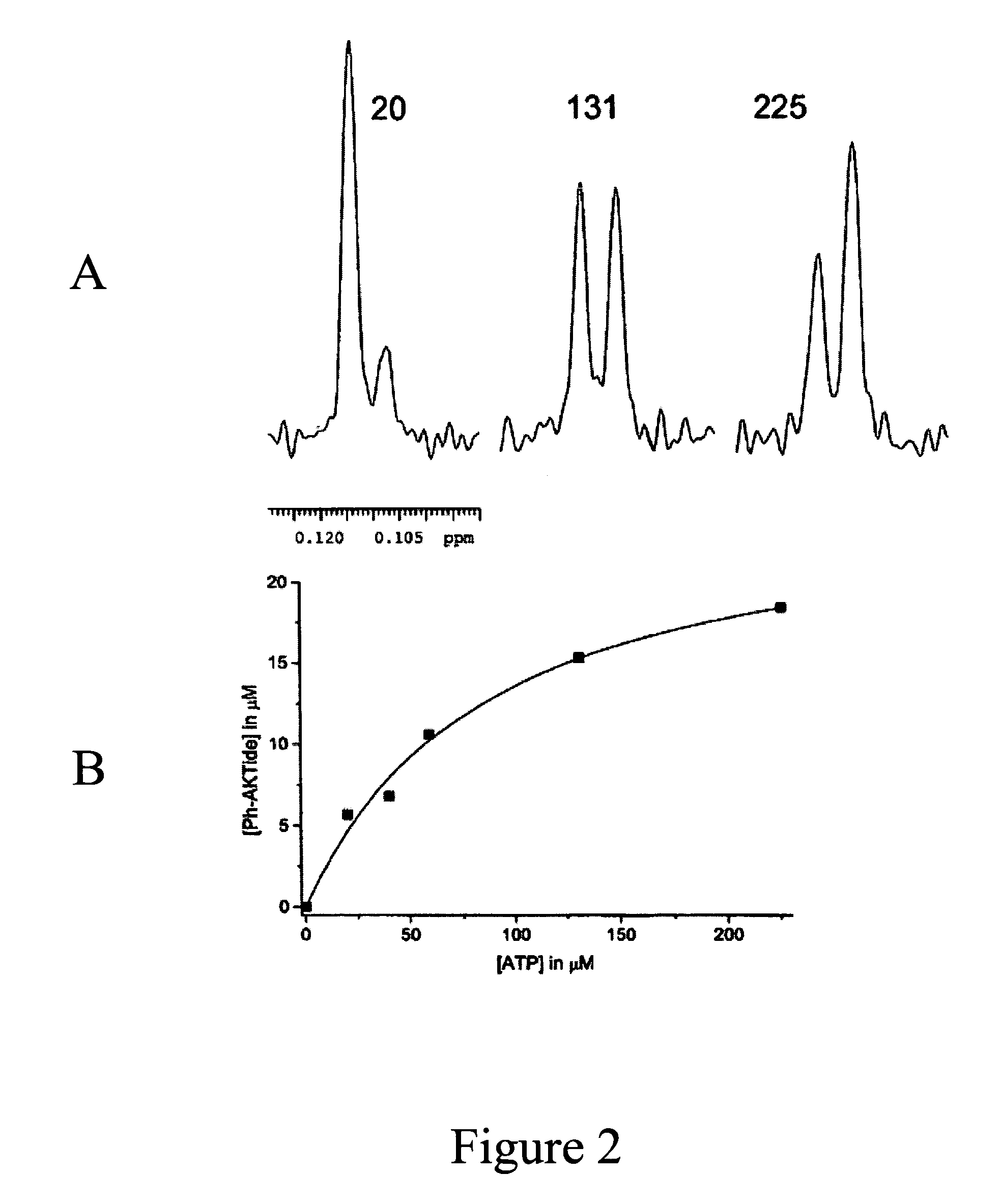 Fluorine NMR spectroscopy for biochemical screening