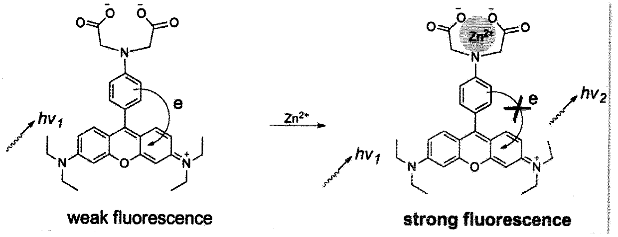 Fluorescent probe for detecting metal ion content in water, and applications thereof