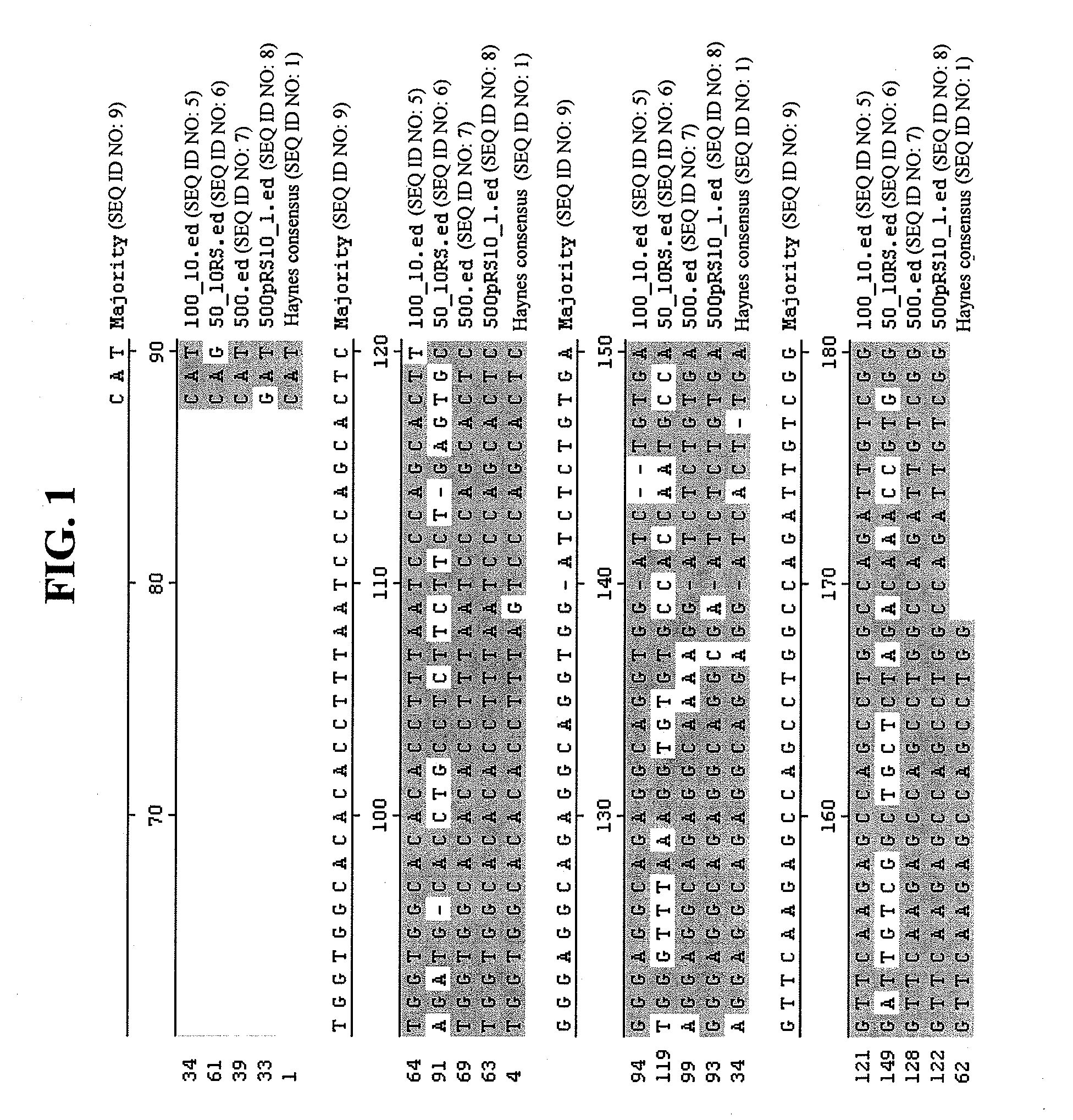 METHODs OF DETECTION AND QUANTIFICATION OF HOST CELL DNA CONTAMINATION OF PURIFIED PROTEINS