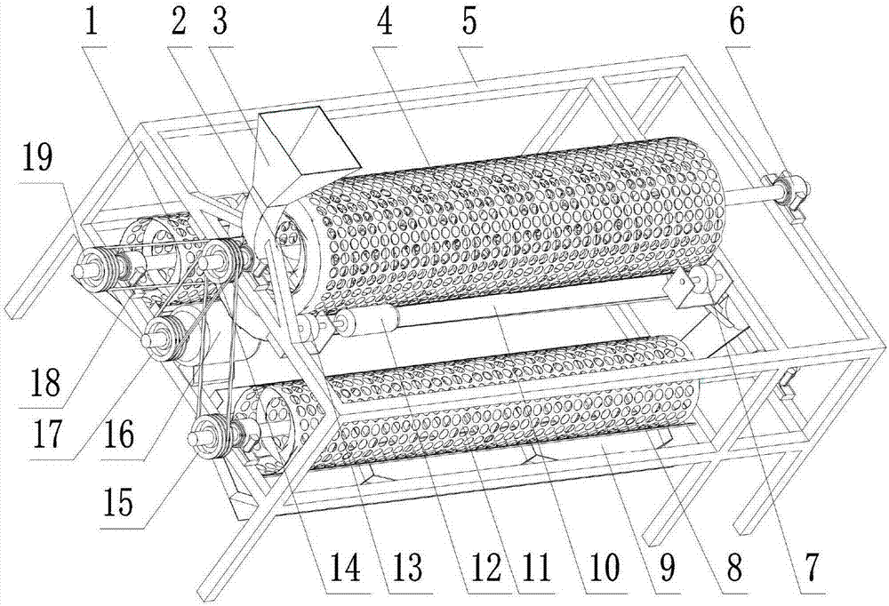 Gordon euryale seed grading machine