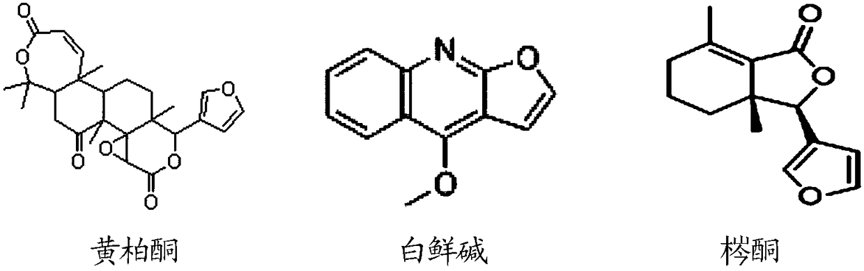 Preparation method of fraxinellone, dictamnine and obakunone