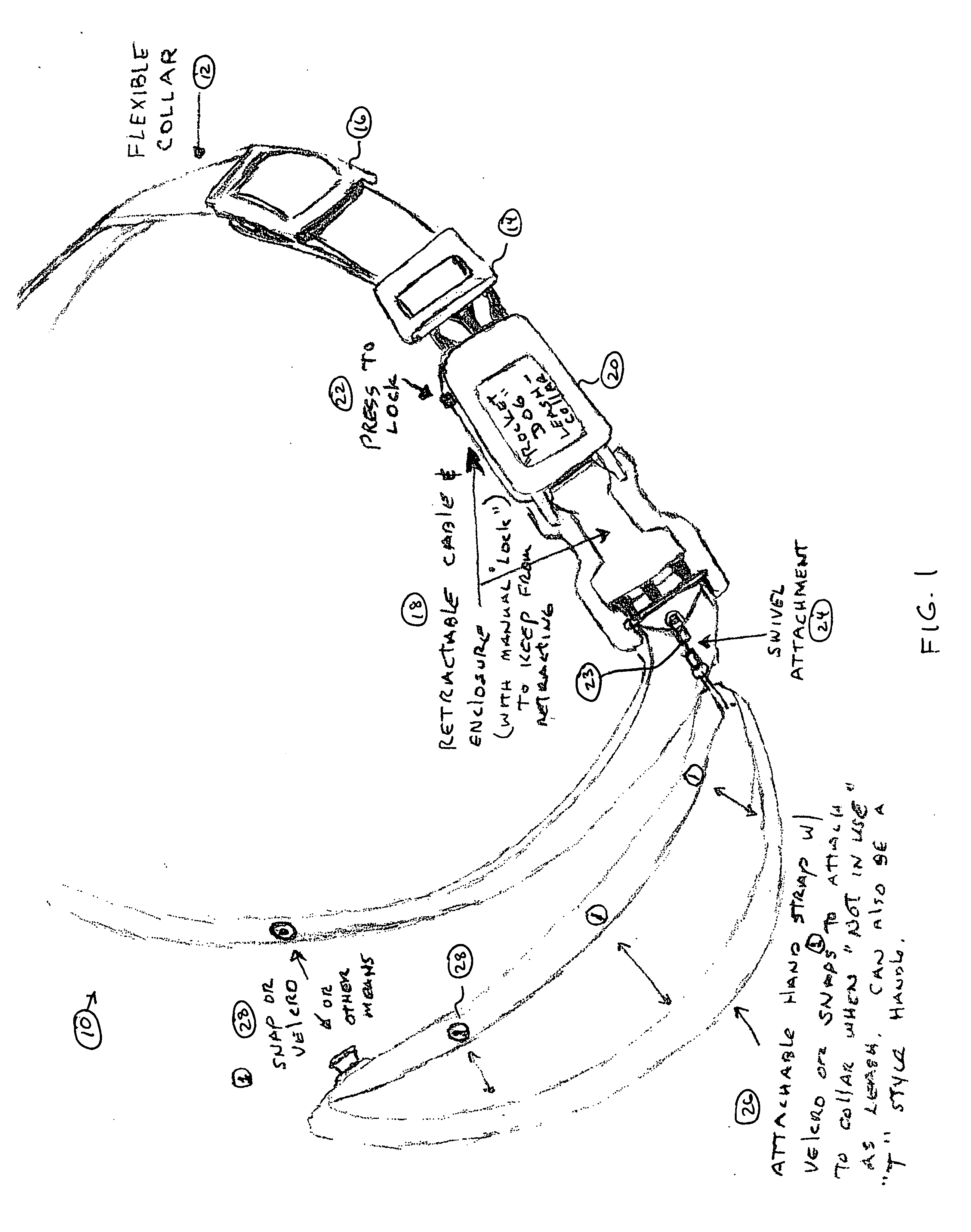 Pet collar with integral leash