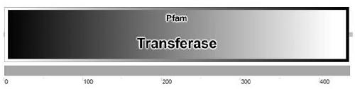 A gene for improving plant disease resistance and its application