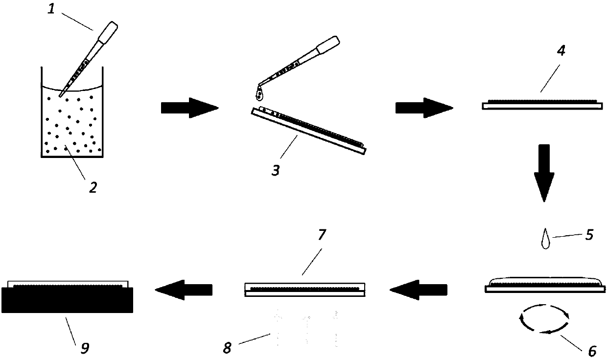 Preparation method for transparent dielectric microsphere flexible film used for strengthening raman scattering spectral intensity