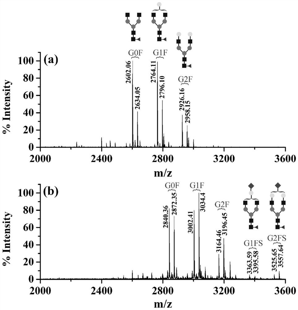 Method for complete glycopeptide derivation and charge transfer fragmentation mass spectrometry