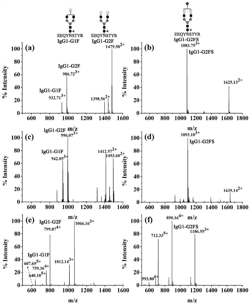 Method for complete glycopeptide derivation and charge transfer fragmentation mass spectrometry