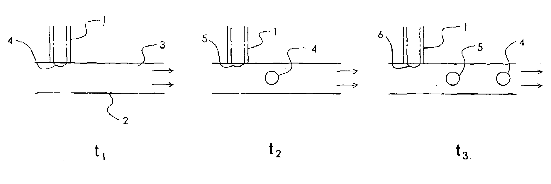 Uniformly sized liposomes