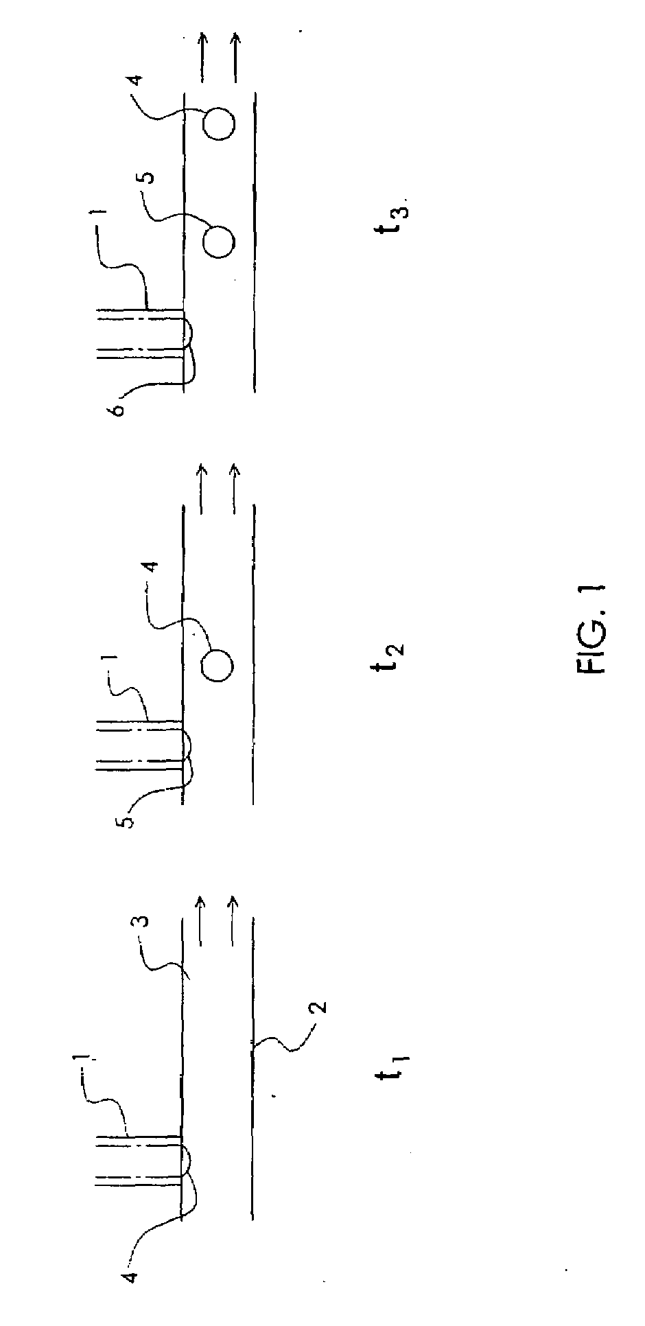 Uniformly sized liposomes