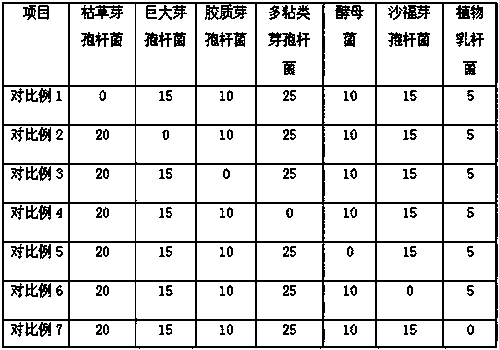 Microbial agent for promoting yield increase and disease resistance of potatoes and preparation method thereof