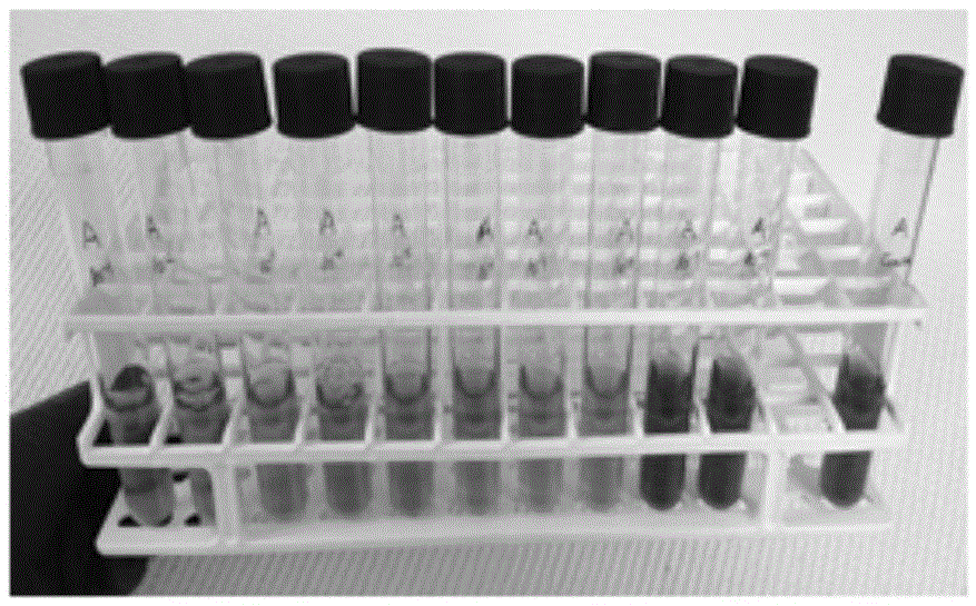 Mycoplasma anseris in-vitro liquid culture medium and preparation method thereof