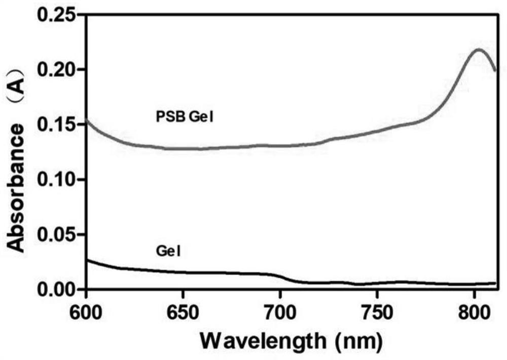 Hydrogel loaded with photosynthetic bacteria as well as preparation method and application of hydrogel