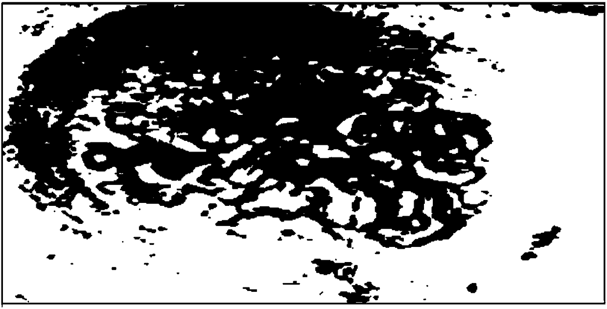 Long-acting inflaming retarding composition for wooden cultural relic heritage building and inflaming retarding treatment method thereof