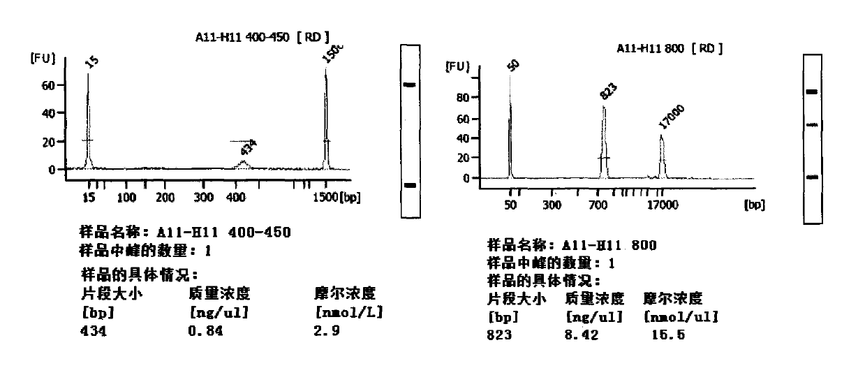 Novel library construction method based on illumina sequencing platform