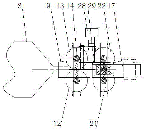 Full-automatic finless eel or loach processing equipment