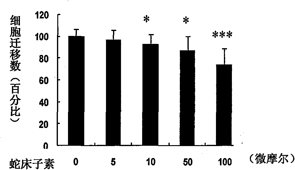 Application of osthole in preparing anti-angiogenic drugs