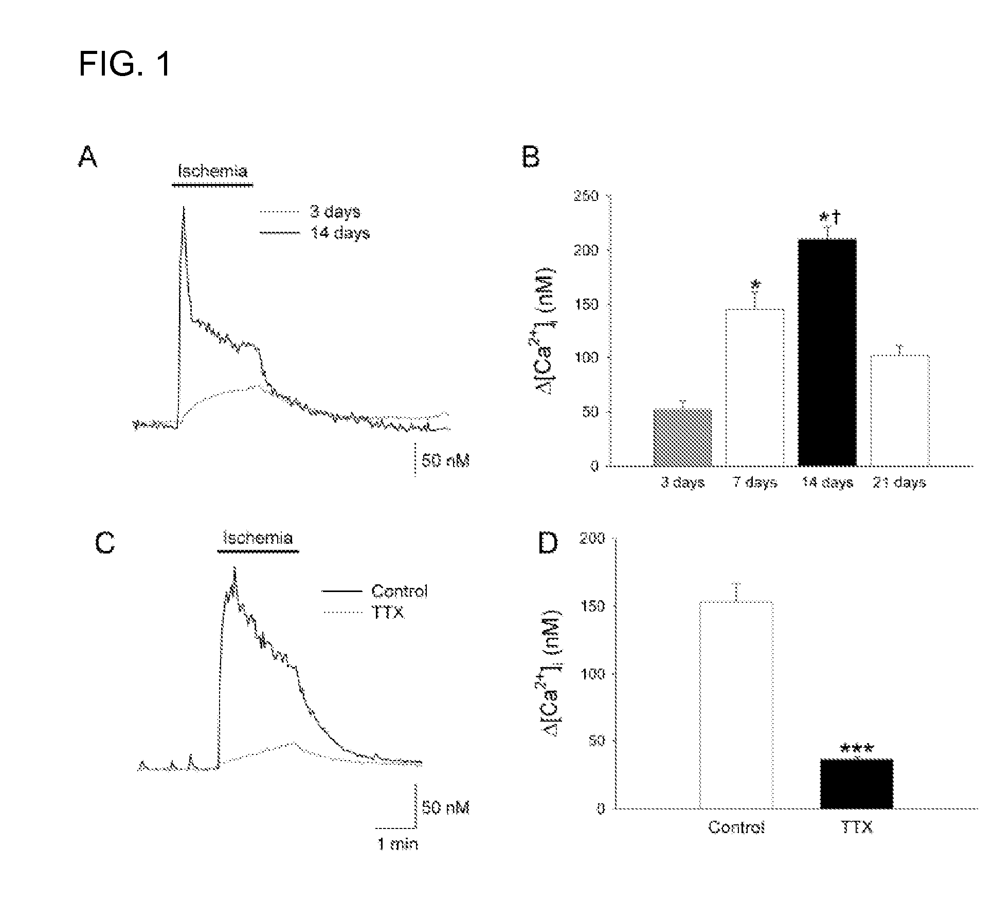 Treatment with Sigma Receptor Agonists Post-Stroke