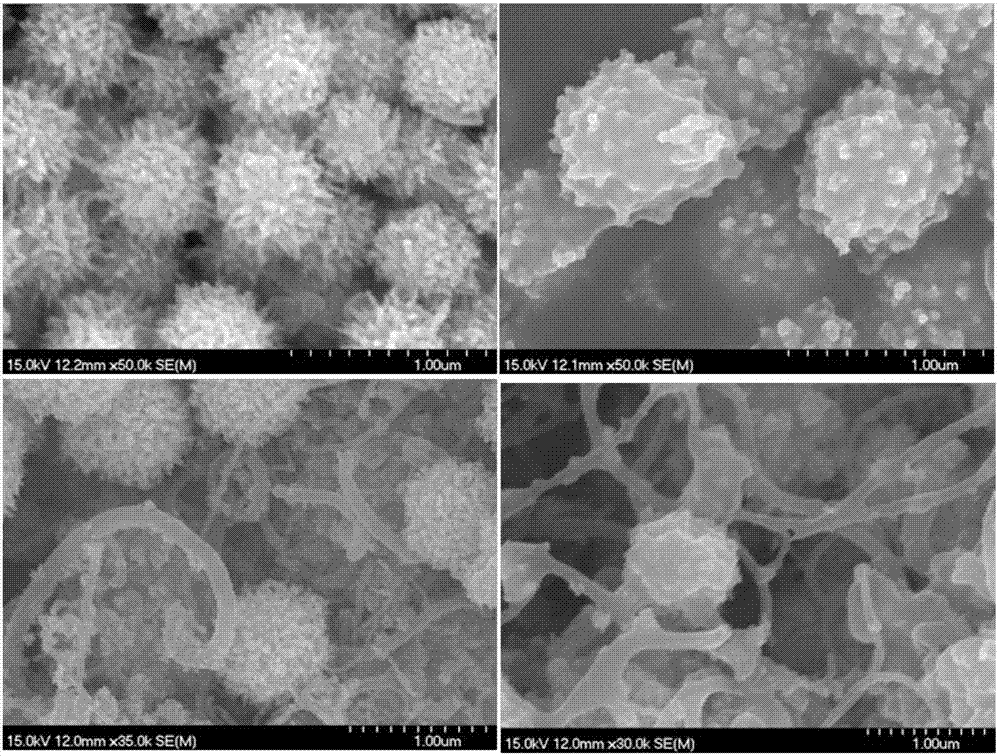 Preparation method of three-dimensional network-shaped tungsten carbide-carbon nanotube composite material