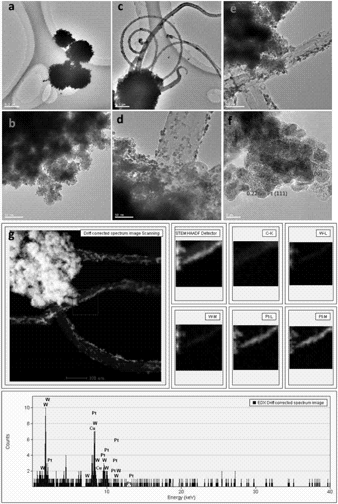 Preparation method of three-dimensional network-shaped tungsten carbide-carbon nanotube composite material