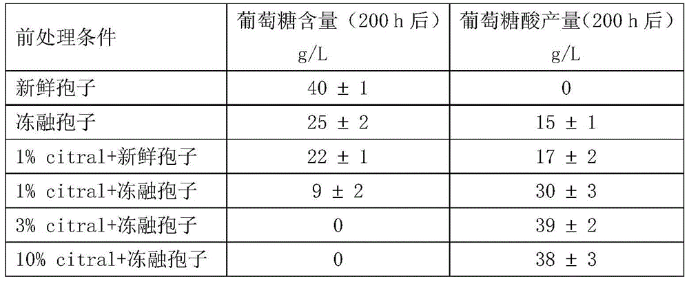 Aspergillus niger-spores for converting glucose to produce gluconic acid and preparation and application method of aspergillus niger-spores