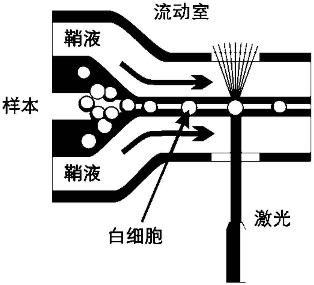 Optical system of blood cell analyzer, optical gain calibration method and storage medium