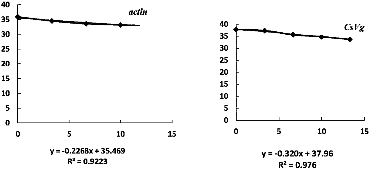 Conopomorpha sinensis bradley vitellogenin gene CsVg, coding protein and application thereof