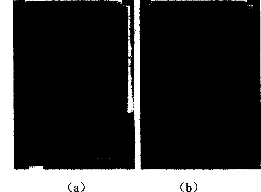 Carbon nanotube modified powder natural rubber and method for preparing same