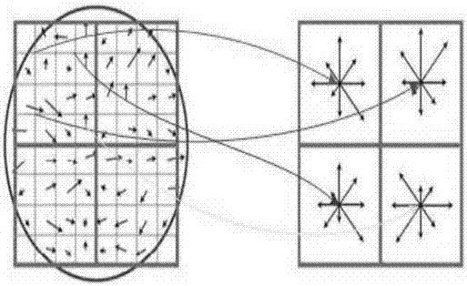 Support sample based indirect pedestrian re-identification method