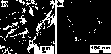 A preparation method of a positive electrode functional separator applied in a lithium sulfur battery