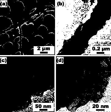 A preparation method of a positive electrode functional separator applied in a lithium sulfur battery