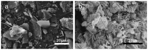 Photosynthetic bacteria immobilization compound and photosynthetic bacteria adsorption material