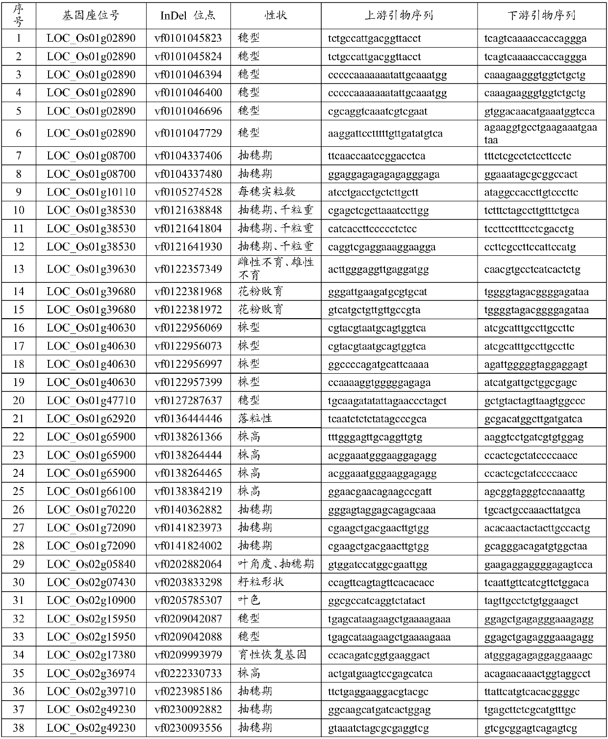 InDel marker for analyzing genetic diversity and identifying variety of rice and primer and application