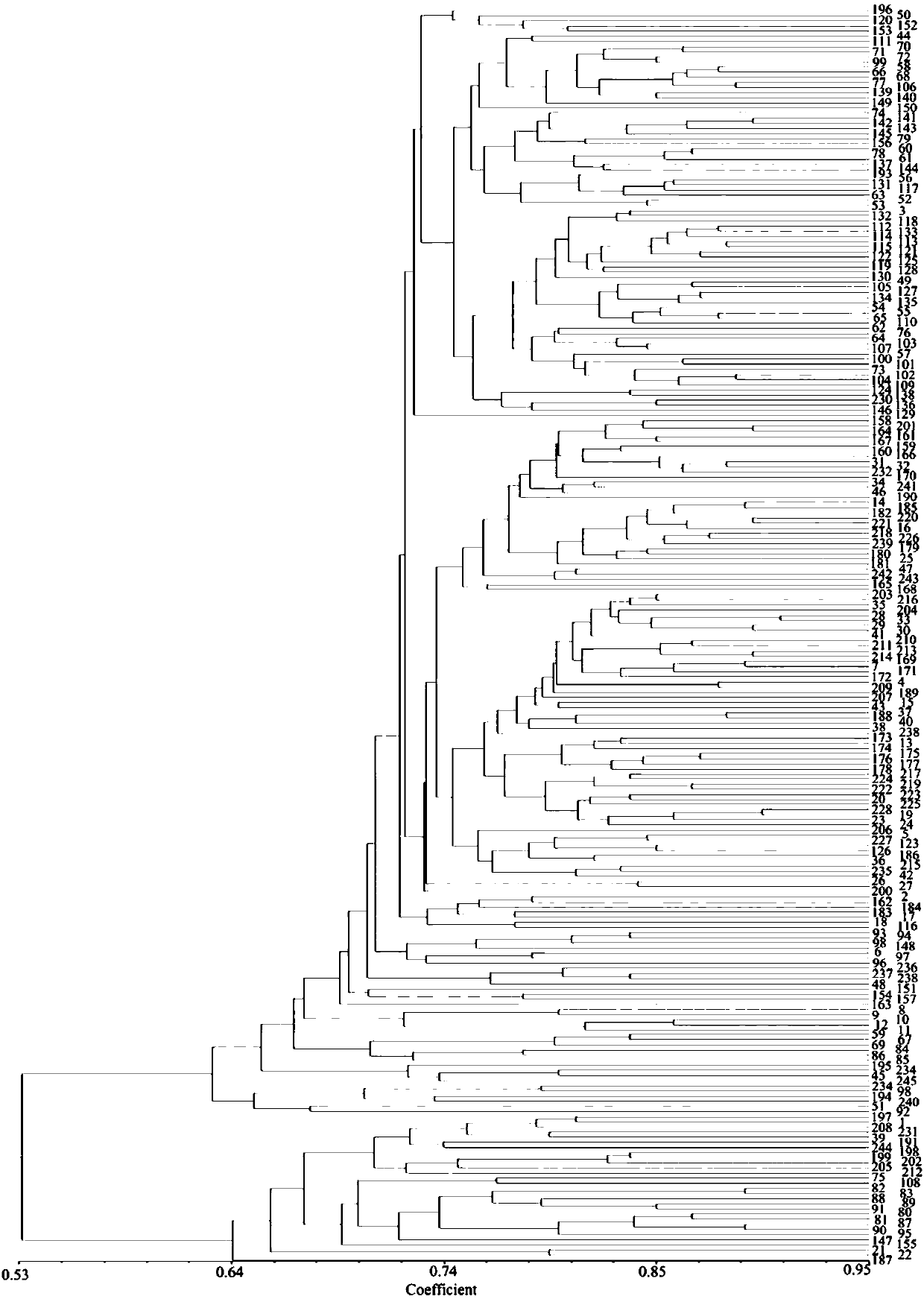 InDel marker for analyzing genetic diversity and identifying variety of rice and primer and application