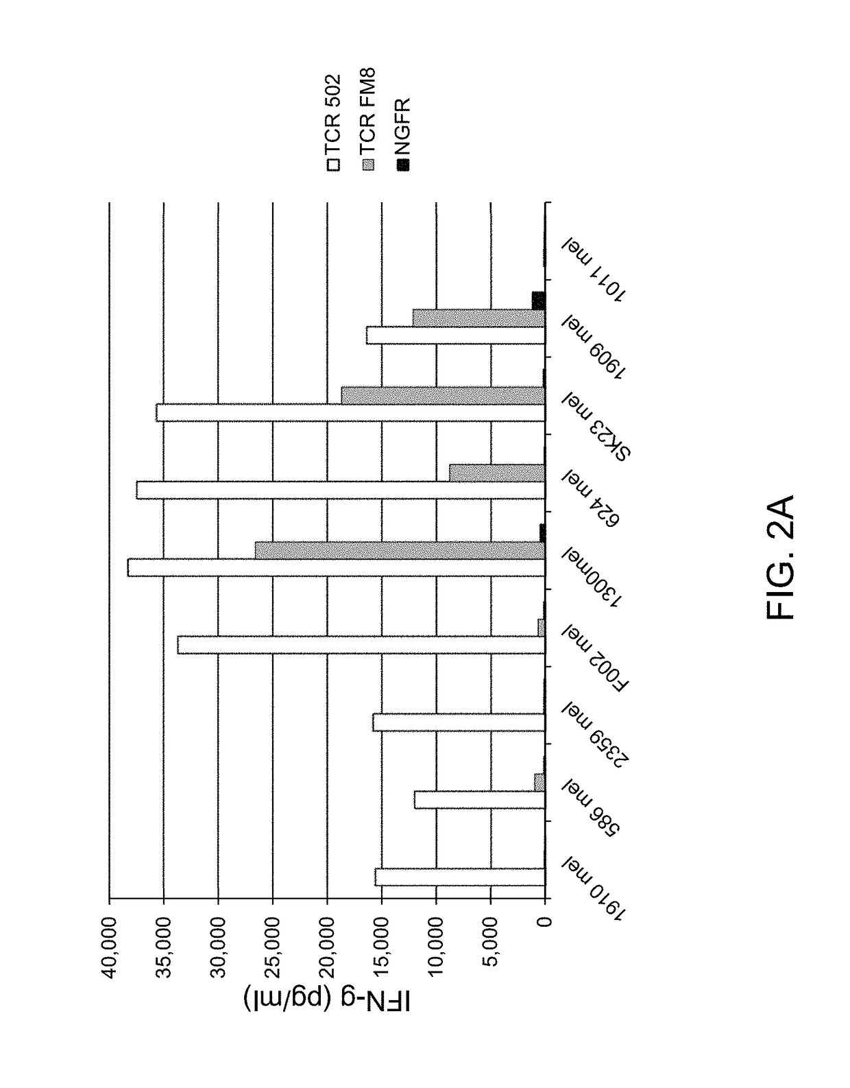 T cell receptors recognizing hla-a1- or hla-cw7-restricted mage