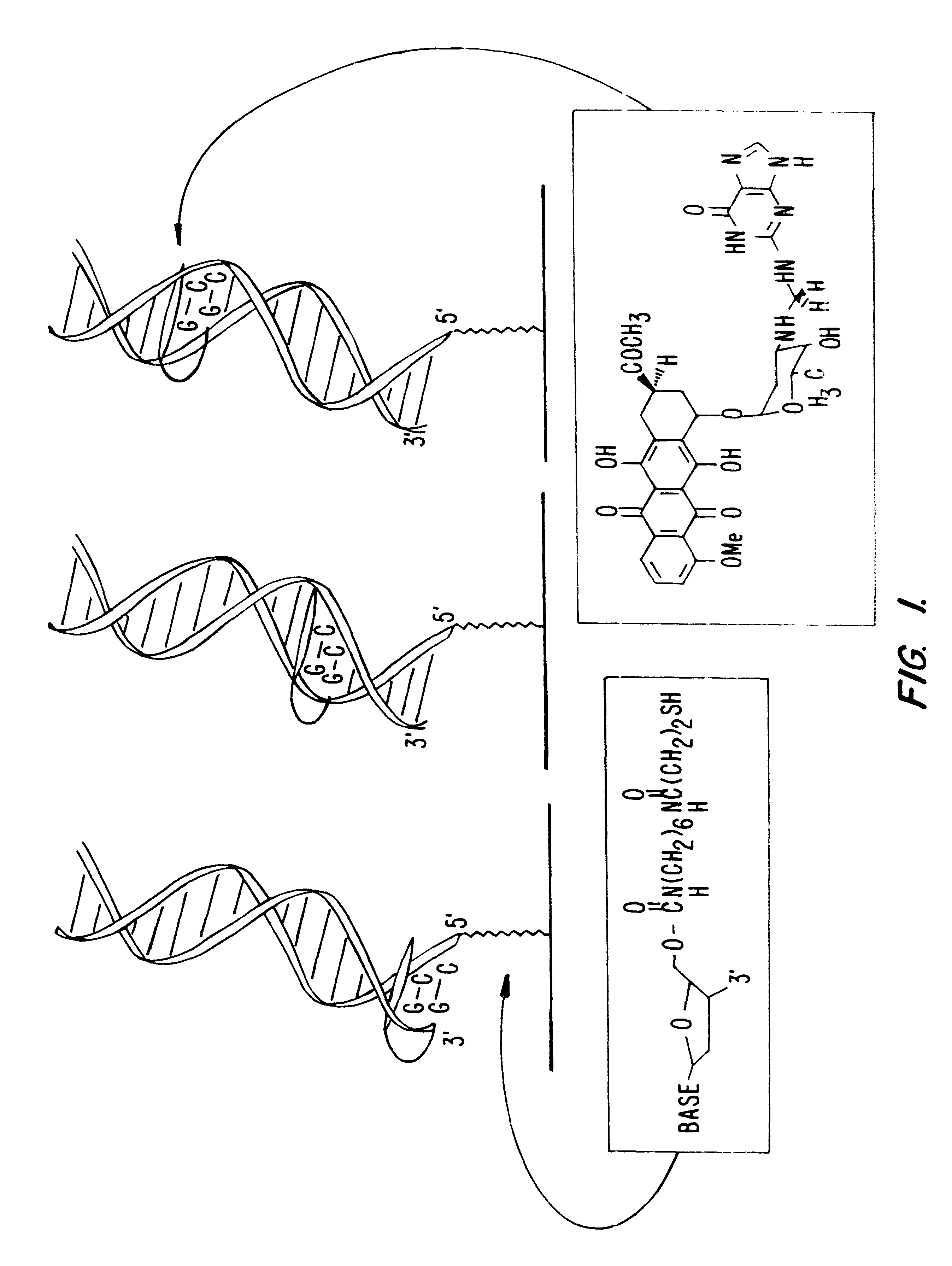 Electrochemical sensor using intercalative, redox-active moieties