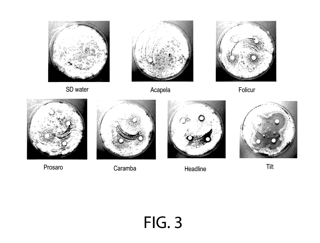 <i>Clonostachys rosea </i>inoculated plant materials with fungicides and adjuvants