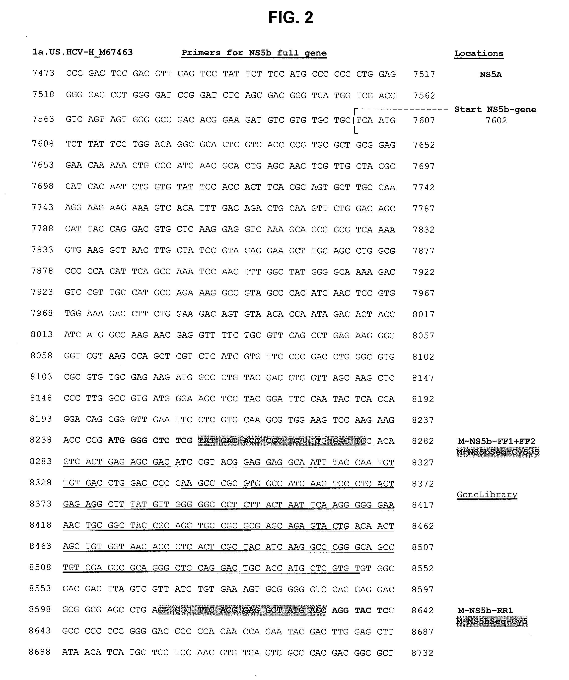 Methods and Reagents for Genotyping HCV