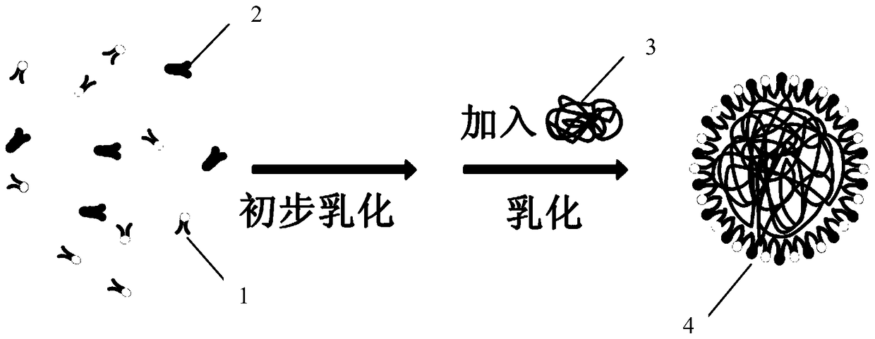 A kind of cationic phospholipid-polymer nanoparticle and preparation method thereof